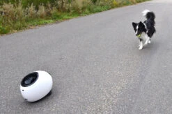 Flamingo Jouet Chien Elton Interactif Distributeur Automatique De Friandises+balles De Tennis 33x24x29cm -Flamingo || ROYAL CANIN || Trixie Soldes Boutique 02aa38468598e63ce58c87dd484a5eb633240d07bb52fbc7bc270faa4d486951