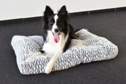 Flamingo Coussin Snoozzy Rectangulaire Gris/noir 120x80x17cm -Flamingo || ROYAL CANIN || Trixie Soldes Boutique 02b85646dde52c6d7638ac66ec090ce4203430de691d159de28b40c05e2dab43