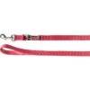 Flamingo Laisse D'Entrainement Ziggi Rouge Cerise 200cm20mm -Flamingo || ROYAL CANIN || Trixie Soldes Boutique 0335a12afb74286e69ab673d9ef05ea2066c20890d9268de1654af58f137158f