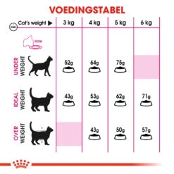 Royal Canin Protein Exigent Pour Chat 4kg -Flamingo || ROYAL CANIN || Trixie Soldes Boutique 0940f9380e24fd6977e0166039f34726c27c9abe12319f295b4029f84f5c8e3e 1