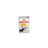 Royal Canin Dalmatien Dermacomfort Pour Chien 12 X 85g -Flamingo || ROYAL CANIN || Trixie Soldes Boutique 0ad34e67ed7c2e27b5fa6a638d96460c13b46231e88d7499d599936fbfdafa0e