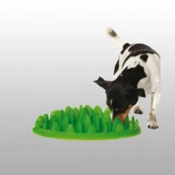 Gamelle Anti Glouton Northmate Green Karlie -Flamingo || ROYAL CANIN || Trixie Soldes Boutique 0e170f08ea861902a2f0704ec052fb807ffc87d99f80b18fd669935838687c85