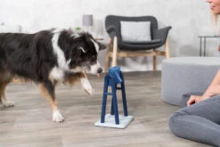 Trixie Jeu De Stratégie Pour ChienTurn Around 22 X 33 X 18 Cm 23 Trixie Jeu De Stratégie Pour ChienTurn Around 22 X 33 X 18 Cm -Flamingo || ROYAL CANIN || Trixie Soldes Boutique 0f699245a06ad2cc79e33cb32b311778baffb1a2926c68396d937da1b57a670a