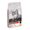 Purina Pro Plan Original Adult Chat 10Kg Poulet -Flamingo || ROYAL CANIN || Trixie Soldes Boutique 1569086771791d67306f2604358a414fc195ab9a533ac2d64fa171b8637977a7