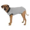 Trixie Veste De Protection / M / 45 Cm -Flamingo || ROYAL CANIN || Trixie Soldes Boutique 1884d33198590d832ebdac9012c4444c574d27586c30133d8a8c83189dff1eb0 3