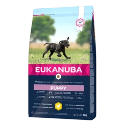 Eukanuba Puppy Large Breed Pour Chien 15kg
