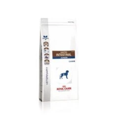 Royal Canin Gastro Intestinal Puppy Chien -Flamingo || ROYAL CANIN || Trixie Soldes Boutique 2021057f81646d34e3b010d54900eb0e0515a48b16324bcd167c9899ff88a88b