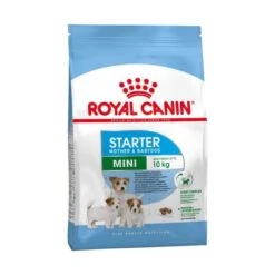 Royal Canin Mini Starter Mother & Baby Dog - 4Kg