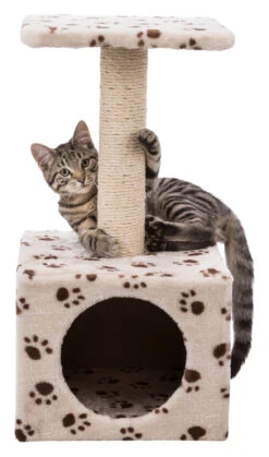 Trixie Junior Arbre À Chat Zamora 60 Cm -Flamingo || ROYAL CANIN || Trixie Soldes Boutique 296430a49650021715428d96024094018a9344f44bd305f178e0c7dc9eaccf76