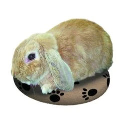 Bouillotte SNUGGLESAFE Pour Animal De Compagnie -Flamingo || ROYAL CANIN || Trixie Soldes Boutique 3b3c442f6bf51fb9d7b5c247118bfe79b6f04502