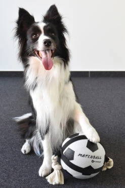 Flamingo Jouet Chien Matchball Balle De Foot 12,5cm -Flamingo || ROYAL CANIN || Trixie Soldes Boutique 40ceb270f0ae1d84ac34a9c72537280e20e86552eaf2ba2e45995c5537755e53