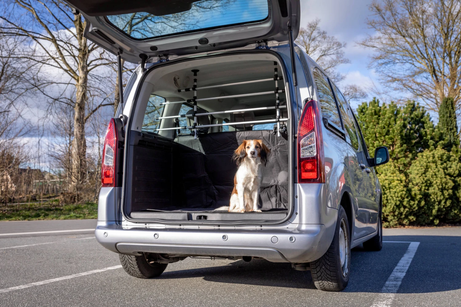 Trixie Protection Chien Pour Voiture Avec Fixations Aux Appuies-tête 105-172 Cm 5 Trixie Protection Chien Pour Voiture Avec Fixations Aux Appuies-tête 105-172 Cm – Image 3