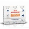 Royal Canin GI Low Fat - 3 Flacons De 200ml -Flamingo || ROYAL CANIN || Trixie Soldes Boutique 4d472314b6a28162c49a90cdf0aeee462de82e0d382688d649bd200baee4f818