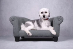 Flamingo Sofa Maximilien Gris 71x45x34cm -Flamingo || ROYAL CANIN || Trixie Soldes Boutique 520605 S 01