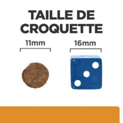 Hill's Prescription Diet K/D J/D Kidney + Mobility Croquettes Pour Chien Au Poulet -Flamingo || ROYAL CANIN || Trixie Soldes Boutique 52742011608 6 prescription diet chien k d mobility croquettes poulet