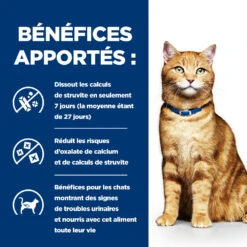 Hill's Prescription Diet C/D Urinary Multicare Boîtes Pour Chat Au Poulet Et Légumes - 24 X 82g -Flamingo || ROYAL CANIN || Trixie Soldes Boutique 52742021508 3 FR