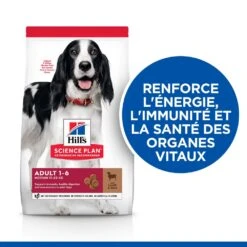 Hill's Science Plan Adult Croquettes Pour Chien Medium -Flamingo || ROYAL CANIN || Trixie Soldes Boutique 52742025865 2 science plan chien adulte medium croquettes agneau