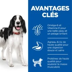 Hill's Science Plan Adult Croquettes Pour Chien Medium -Flamingo || ROYAL CANIN || Trixie Soldes Boutique 52742025865 3 science plan chien adulte medium croquettes agneau