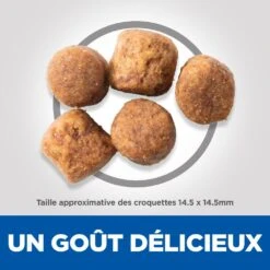 Hill's Science Plan Adult Healthy Mobility Croquettes Pour Grand Chien Au Poulet - 14Kg -Flamingo || ROYAL CANIN || Trixie Soldes Boutique 52742026015 4 science plan healthy mobility chien adulte large croquettes poulet