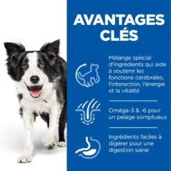 Hill's Science Plan Senior Vitality Croquettes Pour Chien âgé Au Poulet 14Kg -Flamingo || ROYAL CANIN || Trixie Soldes Boutique 52742026107 3 science plan senior vitality chien medium croquettes poulet