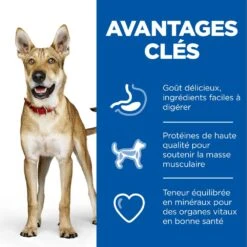 Hill's Science Plan Adult Performance Croquettes Pour Chien Au Poulet 14Kg -Flamingo || ROYAL CANIN || Trixie Soldes Boutique 52742026114 3 science plan performance chien adulte croquettes poulet.jpg