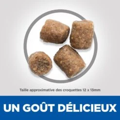 Hill's Science Plan Adult Healthy Mobility Croquettes Pour Chien Medium Au Poulet 14Kg -Flamingo || ROYAL CANIN || Trixie Soldes Boutique 52742026138 4 science plan healthy mobility chien adulte medium croquettes poulet