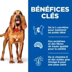 Hill's Science Plan Mature Adult Light Croquettes Pour Chien Sénior Medium Au Poulet - 14Kg -Flamingo || ROYAL CANIN || Trixie Soldes Boutique 52742026169 3 science plan light chien g medium croquettes poulet