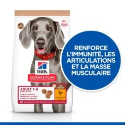 Hill's Science Plan Adult No Grain Large Breed Croquettes Sans Céréales Pour Chien Adulte De Grande Race Au Poulet - 14Kg -Flamingo || ROYAL CANIN || Trixie Soldes Boutique 52742037233 2 science plan chien adult large no grain croquettes poulet