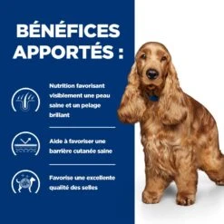 Hill's Prescription Diet Z/D AB+ Pour Chien Au Poulet 13 Hill's Prescription Diet Z/D AB+ Pour Chien Au Poulet -Flamingo || ROYAL CANIN || Trixie Soldes Boutique 52742040455 4 prescription diet chien z d croquettes