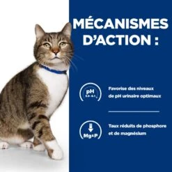 Hill's Prescription Diet S/D Urinary Croquettes Pour Chat Au Poulet -Flamingo || ROYAL CANIN || Trixie Soldes Boutique 52742042473 4 prescription diet chat s d croquettes poulet