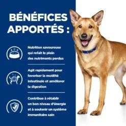 Hill's Prescription Diet I/D AB+ Pour Chien Au Poulet -Flamingo || ROYAL CANIN || Trixie Soldes Boutique 52742043166 4 prescription diet chien i d croquettes