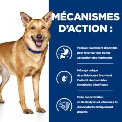 Hill's Prescription Diet I/D AB+ Pour Chien Au Poulet -Flamingo || ROYAL CANIN || Trixie Soldes Boutique 52742043166 5 prescription diet chien i d croquettes