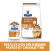 Hill's Prescription Diet K/D + Mobility Croquettes Pour Chat Au Poulet -Flamingo || ROYAL CANIN || Trixie Soldes Boutique 52742044767 3 prescription diet chat k d mobility croquettes poulet