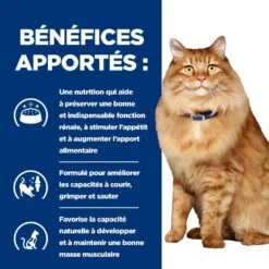 Hill's Prescription Diet K/D + Mobility Croquettes Pour Chat Au Poulet -Flamingo || ROYAL CANIN || Trixie Soldes Boutique 52742044767 4 prescription diet chat k d mobility croquettes poulet