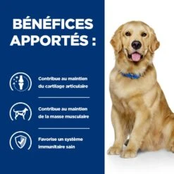 Hill's Prescription Diet J/D Mobility Croquettes Pour Chien Au Poulet 13 Hill's Prescription Diet J/D Mobility Croquettes Pour Chien Au Poulet -Flamingo || ROYAL CANIN || Trixie Soldes Boutique 52742045740 4 prescription diet chien j d croquettes poulet