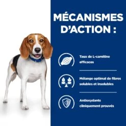 Hill's Prescription Diet R/D Croquettes Pour Chien Au Poulet 14 Hill's Prescription Diet R/D Croquettes Pour Chien Au Poulet -Flamingo || ROYAL CANIN || Trixie Soldes Boutique 52742047256 4 prescription diet chien r d croquettes poulet