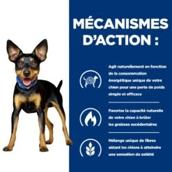 Hill's Prescription Diet Metabolic Mijotés Pour Chien 24x156g Poulet Et Légumes -Flamingo || ROYAL CANIN || Trixie Soldes Boutique 52742047331 2 FR