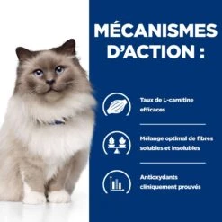 Hill's Prescription Diet R/D Weight Loss Pour Chat Au Poulet 14 Hill's Prescription Diet R/D Weight Loss Pour Chat Au Poulet -Flamingo || ROYAL CANIN || Trixie Soldes Boutique 52742048185 4 prescription diet chat r d croquettes poulet
