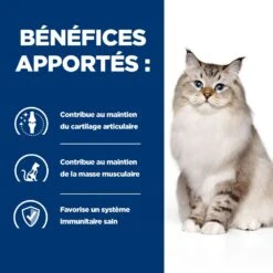 Hill's Prescription Diet J/D Croquettes Pour Chat Au Poulet -Flamingo || ROYAL CANIN || Trixie Soldes Boutique 52742048352 3 prescription diet chat j d croquettes poulet 1