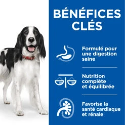 Hill's Science Plan Healthy Cuisine Mijoté Pour Chien Adulte Au Poulet Et Boeuf 15 Hill's Science Plan Healthy Cuisine Mijoté Pour Chien Adulte Au Poulet Et Boeuf -Flamingo || ROYAL CANIN || Trixie Soldes Boutique 52742050393 10 FR science plan chien adult healthy cuisine mijotes sachet repas poulet boeuf 12x90g