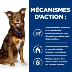 Hill's Prescription Diet Metabolic Pour Chien -Flamingo || ROYAL CANIN || Trixie Soldes Boutique 52742209906 5 prescription diet chien metabolic croquettes poulet
