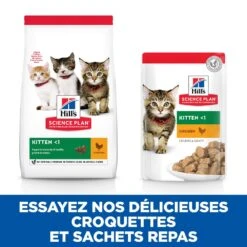 Hill's Science Plan Kitten Multipack 12 Sachets Repas Pour Chaton Poulet Et Poisson -Flamingo || ROYAL CANIN || Trixie Soldes Boutique 52742211503 4 science plan chaton sachet repas pack mixte poulet poisson