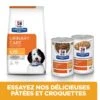 Hill's Prescription Diet C/D Urinary Multicare Croquettes Pour Chien Au Poulet 1 Hill's Prescription Diet C/D Urinary Multicare Croquettes Pour Chien Au Poulet -Flamingo || ROYAL CANIN || Trixie Soldes Boutique 52742917603 3 prescription diet chien c d multicare croquettes poulet 1