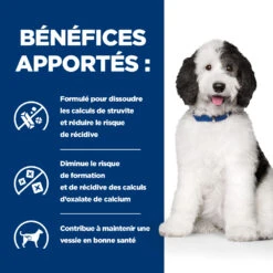 Hill's Prescription Diet C/D Urinary Multicare Croquettes Pour Chien Au Poulet -Flamingo || ROYAL CANIN || Trixie Soldes Boutique 52742917603 4 prescription diet chien c d multicare croquettes poulet