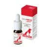Sativavet Active Medium 10ml -Flamingo || ROYAL CANIN || Trixie Soldes Boutique 5525b0976d8b49d76aa6e617e6030f494d7f51bdb3a62d0bd5996452adf6092e