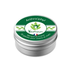 Arthro'Phyl