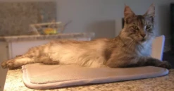 Matelas Anti-escarres Confort4pattes -Flamingo || ROYAL CANIN || Trixie Soldes Boutique 55c0616d5d98821d9afbcbd9e5f3c4fc90951b16cae946ef0eda01a8206dbdbb