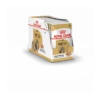 Royal Canin Shih Tzu 12x 85g -Flamingo || ROYAL CANIN || Trixie Soldes Boutique 58ac3b3271a08f3c3fe0360d8b63e0f7a8cfcbb73a5690fedae2edde7d751246