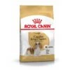 Royal Canin Cavalier King Charles Adult 1,5kg -Flamingo || ROYAL CANIN || Trixie Soldes Boutique 5909e9bffd4e56b63c73f9cbb51e875cb88bdf8adcaaff0c528474ba4811c7a1
