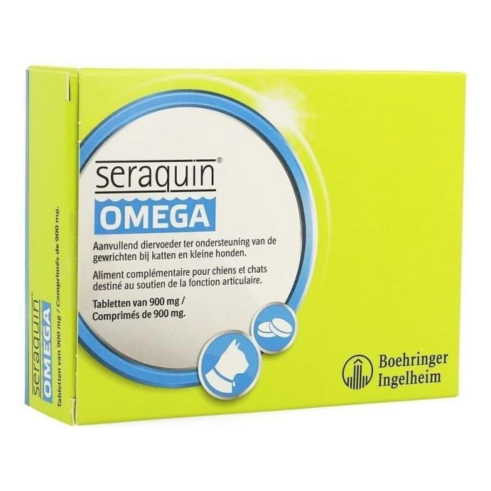 Seraquin OMEGA Chat 4 Seraquin OMEGA Chat – Image 2